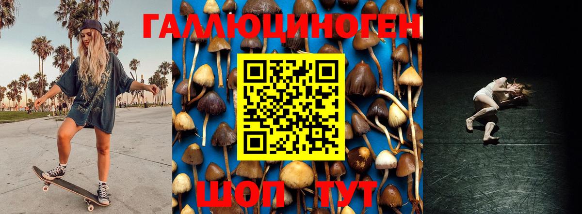 Псилоцибиновые грибы ЛСД Алейск