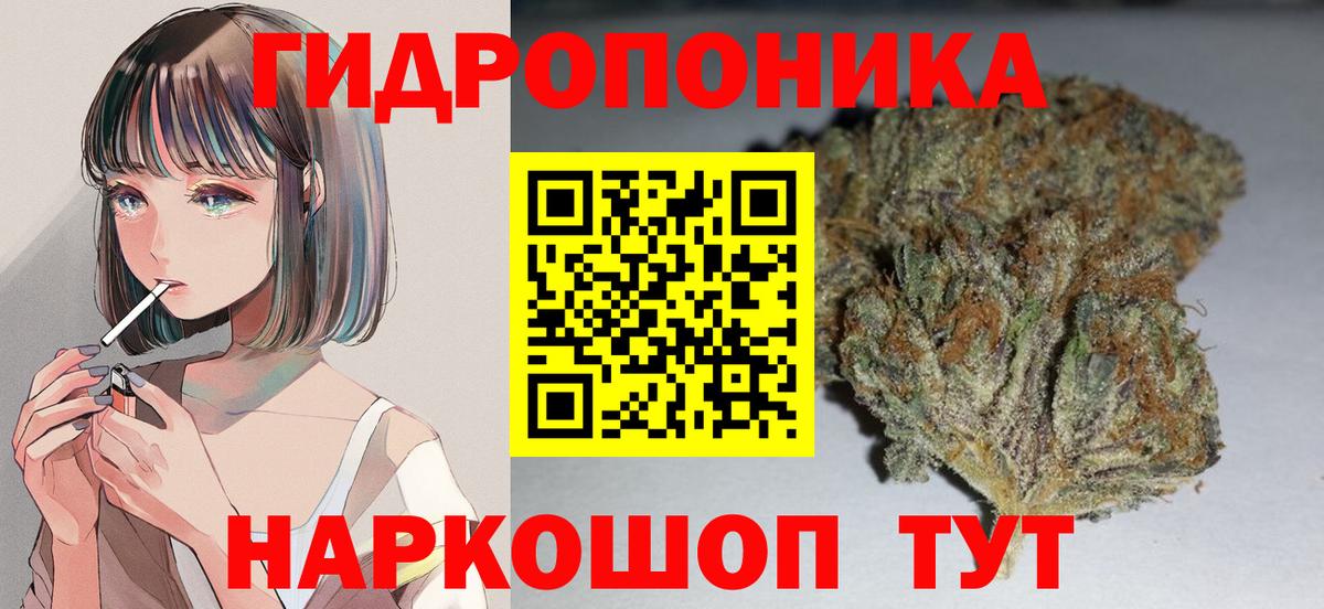 Бошки Шишки VHQ  Шишки марихуана ГИДРОПОН  Алейск  Конопля ГИДРОПОН  Вход с VPN 